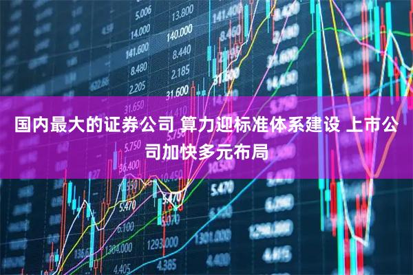 国内最大的证券公司 算力迎标准体系建设 上市公司加快多元布局