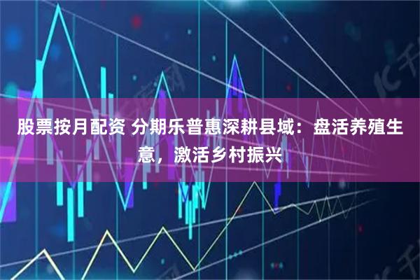 股票按月配资 分期乐普惠深耕县域：盘活养殖生意，激活乡村振兴